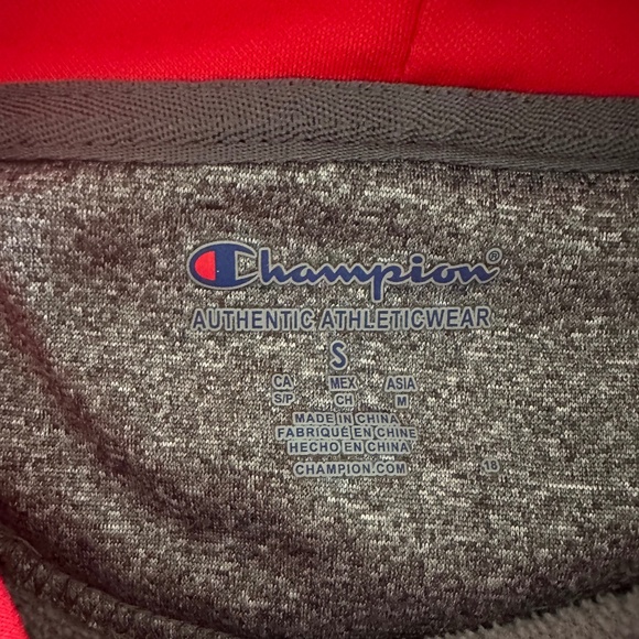 Georgia Bulldog Hoodie by Champion, Adult Small - Picture 3 of 5